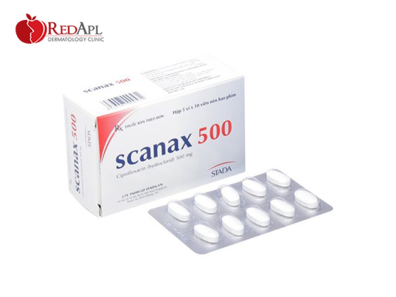 Scanax 500